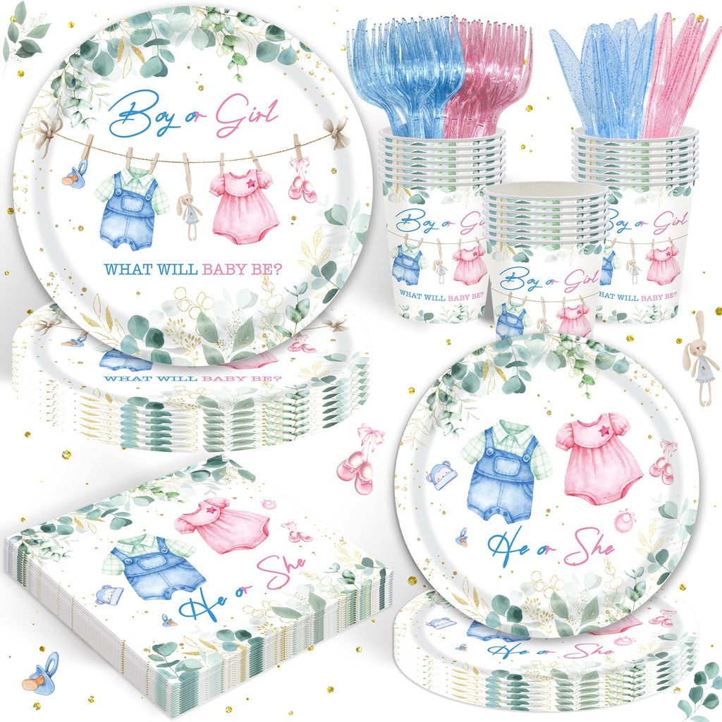 Gender Reveal Babyshower Party Tableware