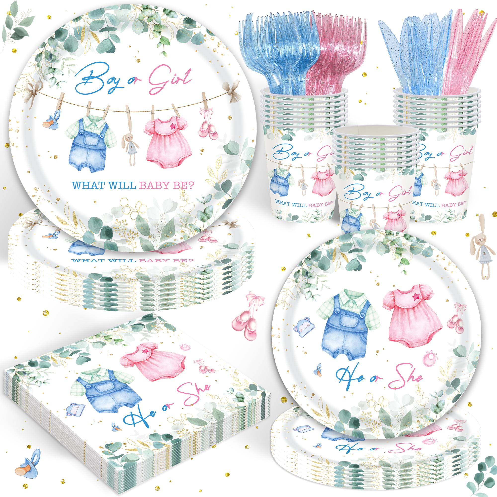 Gender Reveal Babyshower Party Tableware